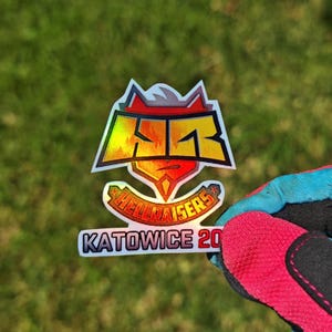 Max Holo - HellRaisers Holo Katowice 2014 CSGO CS Counter Strike CS2 Sticker