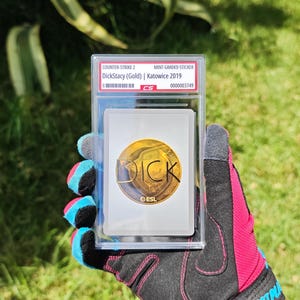 Puede incluir: Una pegatina de grado menta para Counter-Strike 2, con "DickStacy (Gold) | Katowice 2019". La tarjeta tiene un dise&ntilde;o circular dorado con la palabra "DICK" en el centro. La pegatina est&aacute; dentro de un soporte protector transparente.