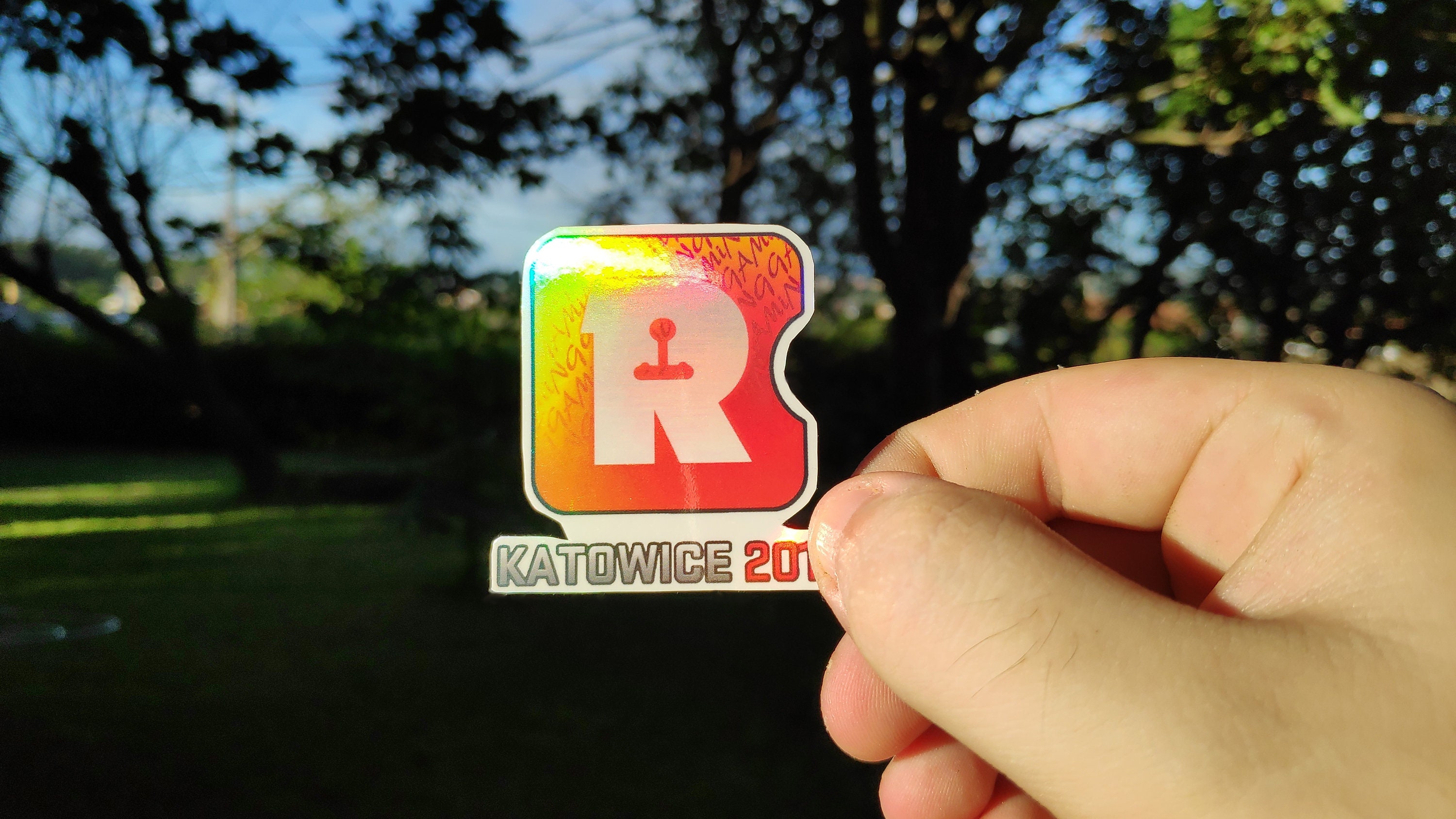 Reason Gaming Holo Katowice 2014 CSGO CS Counter Strike CS2 Sticker (Holo Effect)