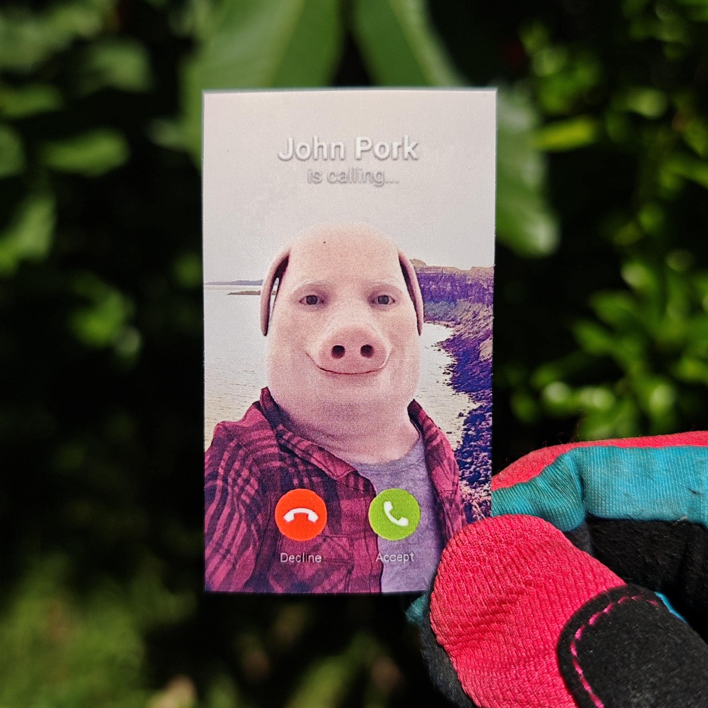 John Pork, John Pork is Calling, Tim Cheese Stickers, Meme Stickers ...
