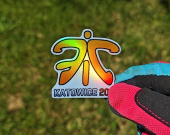 Max Holo - Fnatic Holo Katowice 2014 CSGO CS Counter Strike CS2 Sticker