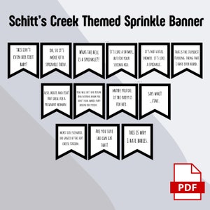 David Rose Baby Sprinkle Banner DIGITAL PDF FILE,  Funny Baby Shower Decor, Schitt Baby Sprinkle Decor
