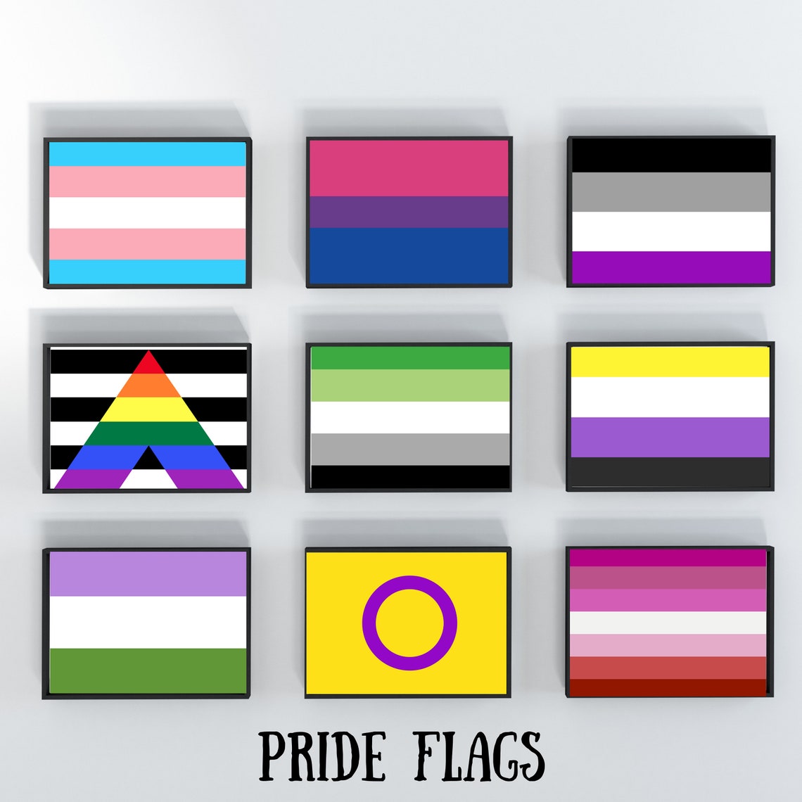 22 Pride Flags Collection, DIGITAL PRINT PDF, Standard 8.5x11 Paper, Printable Pride Flags ...