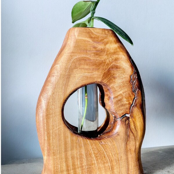 Vase en bois, vase de propagation 100 % fait main, chaque vase est façonné à la main à partir d'un morceau de bois dur massif, finition cire à l'huile d'origine végétale, fabriqué au CO