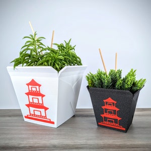 Takeout Planter - Chinese Box Planters, Chopsticks Included, Take Out Plant Pot