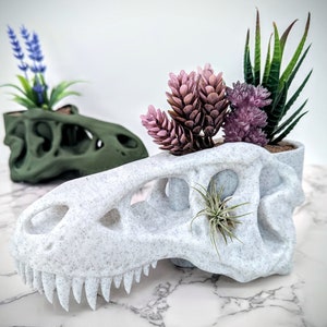 T Rex Skull Planter - Dinosaur Plant Pot - Dinosaur Skull Home Decor