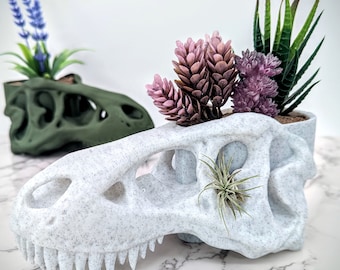 T Rex Skull Planter - Dinosaur Plant Pot - Dinosaur Skull Home Decor