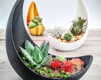 Cresent Moon Planter, Shadow Pot, Celestial, Lunar