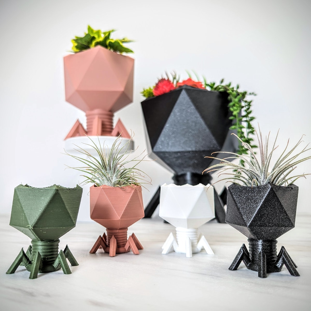 Virus Planter, T4 Bacteriophage, Biology Science Gift, Office Decor, Teaching Gifts, Air Plant Holder, Catch All Dish - Etsy