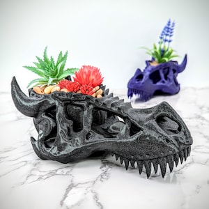 Dragon Pot, Skull Planter, Dragon Figurine, Minimalist Designed Displaying Succulents, Small Cacti & Flower Plant Based Plastic Holder