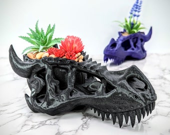 Dragon Pot, Skull Planter, Dragon Figurine, minimalistisch ontworpen weergave van vetplanten, kleine cactussen & bloemplant gebaseerde plastic houder