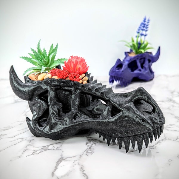 Dragon Pot, Skull Planter, Dragon Figurine, Minimalist Designed Displaying Succulents, Small Cacti & Flower Plant Based Plastic Holder