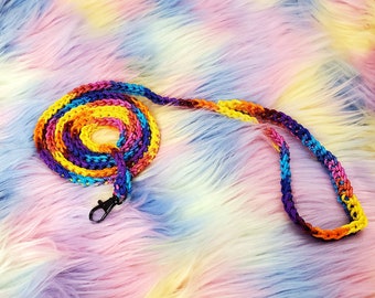 Small Pet Leash Bright Rainbow