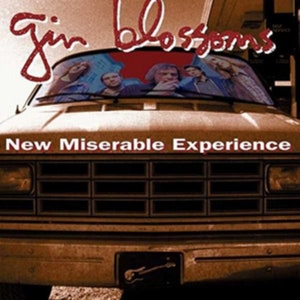 May include: A brown van with the words "Gin Blossoms" written in red on the front. The band members are visible through the windshield. The words "New Miserable Experience" are written in white on the front of the van.