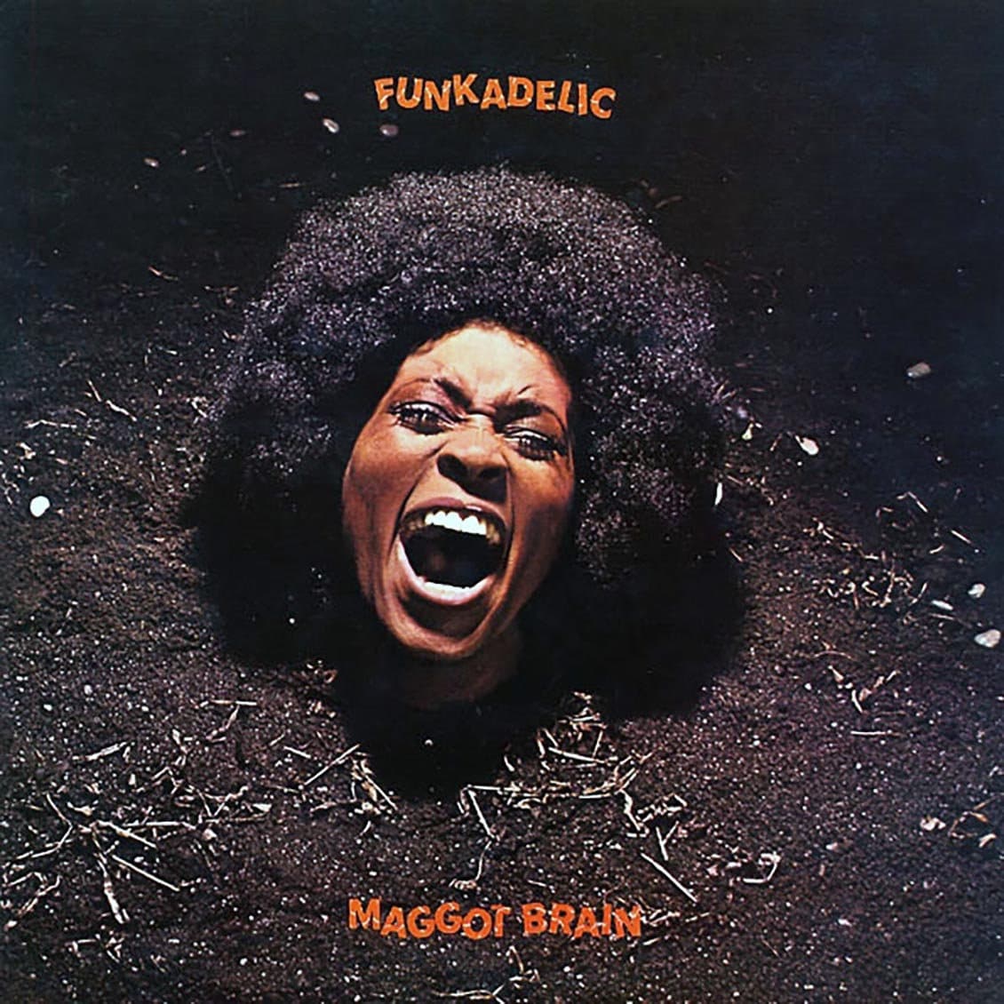 Funkadelic - Maggot Brain Vinyl