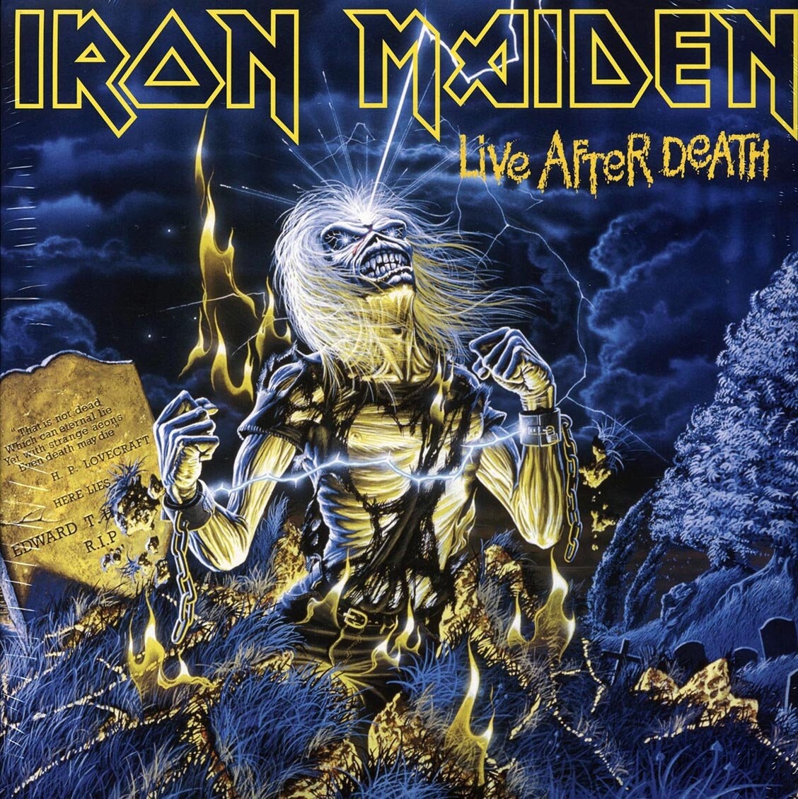 IRON MAIDEN Live After Death レコード Iron Maiden - Live After Death Vinyl - Etsy