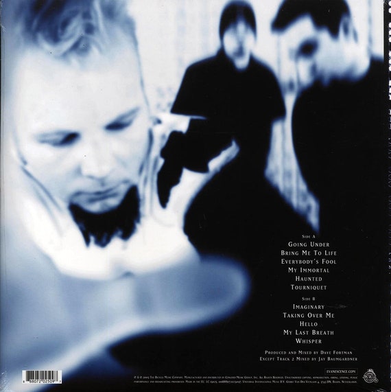 Evanescence - Fallen Vinyl - Etsy