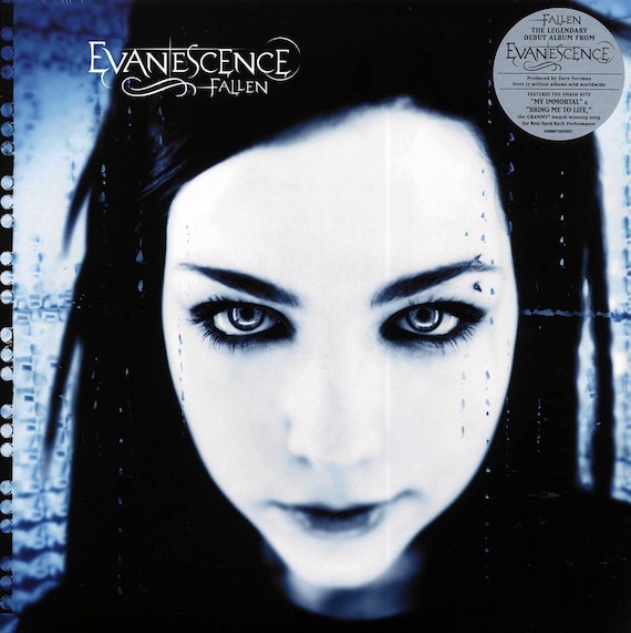 Evanescence『Fallen』レコード盤　※新品未使用品 Evanescence - Fallen Vinyl - Etsy