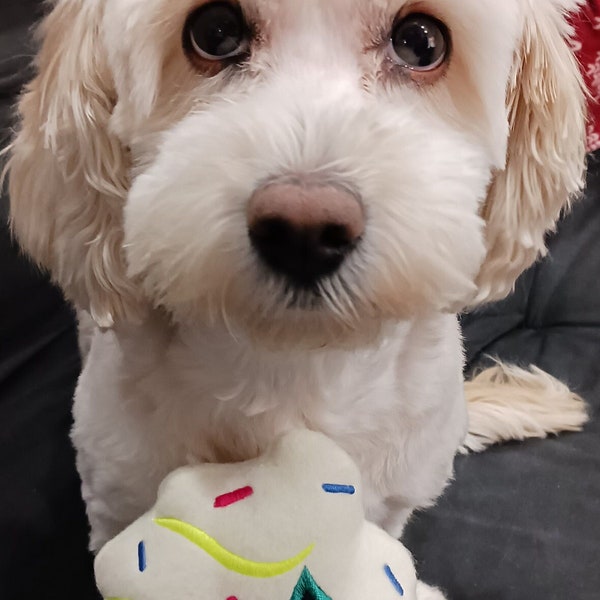 Free Shipping on All Orders Etsy