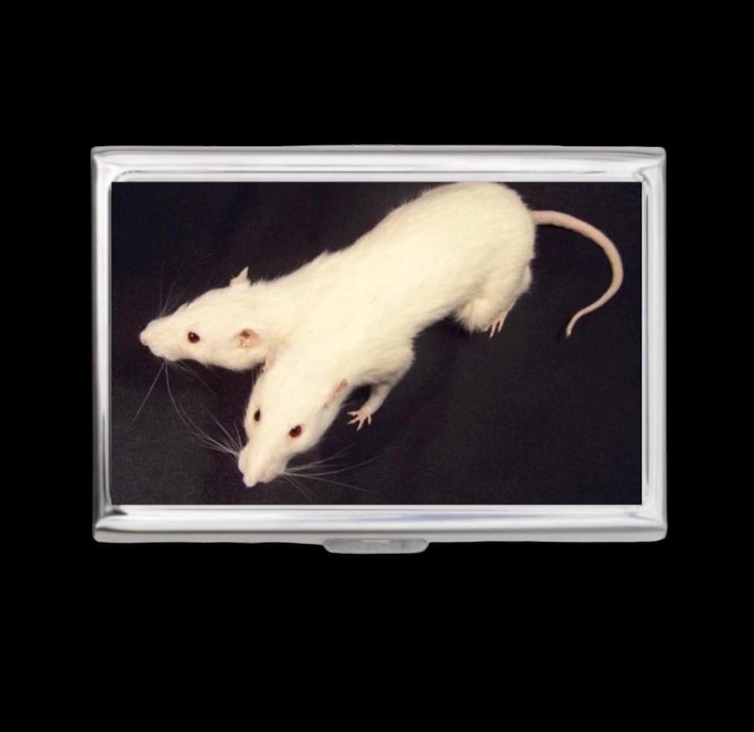 RATS × GROKLEATHER Wallet＆KEY CASE【USED】 Two Headed Rat Cigarette Case OR Card Holder - Conjoined Rat