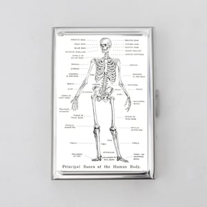 Skull Anatomy Zigarettenetui ODER Kartenhalter - Schädel, Skelett, Dark Academia, Leben und Tod, Visitenkarte, Ausweishalter