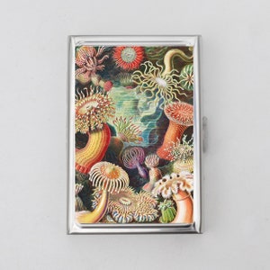 Estuche para cigarrillos o tarjetero con forma de anémona marina: vida marina, buceador, regalo de buceo, regalo de esnórquel, vida marina, océano, tarjeta de visita, tarjetero