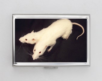 Rat Taxidermie Punk Rock Star - Pièce De Curiosité Française Unique Pour Cabinet D'oddities
