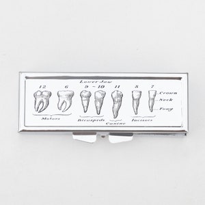 Pastillero con gráfico de dientes de mandíbula inferior - Dentista, Dientes, Arte dental, Ortopedia, Dental, Muelas del juicio, Joyero, Pastillero, Pastillero, Viajes