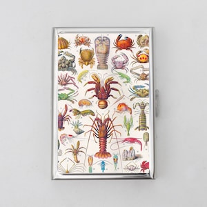 Zigarettenetui ODER Kartenhalter - kleine Brieftasche, Geldhülle, Visitenkartenhalter, Polaroid-Bilder, vorgedrehtes Gelenk, Pilz