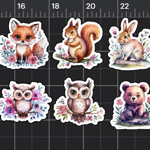 Könnte beinhalten: Sechs bunte Aufkleber mit Waldtieren und floralen Akzenten. Die Aufkleber zeigen einen Fuchs, ein Eichhörnchen, ein Kaninchen, eine Eule und einen Bären.