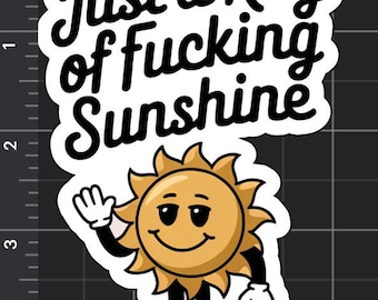 Ray of Sunshine-sticker/grappige sticker/vinyl/waterdicht uv-bestendig/waterfles laptop dagboek scrapbooking sticker/cadeaus voor haar hem