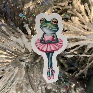 May include: A green frog wearing a pink tutu and ballet shoes. The frog is standing on one leg with its other leg raised in a ballet pose.