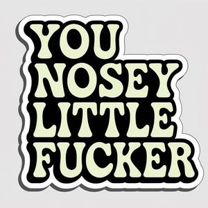 You Nosey Sticker/ stash box water bottle bumper journal sticker/ vinyl/ waterproof UV resistant/ gift for him her