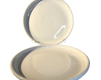 Culinary Arts By Crate & Barrel Set Of Two Porcelain Dinner Plates 10 1/2" In