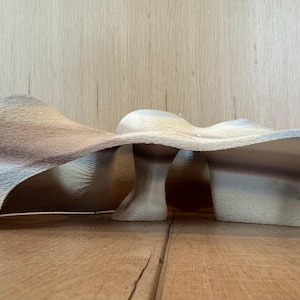 Puede incluir: Una escultura abstracta de madera con un diseño curvo y fluido. La escultura presenta una paleta de colores marrón claro y beige, con una superficie texturizada. Se encuentra sobre una superficie de madera, mostrando su forma artística.