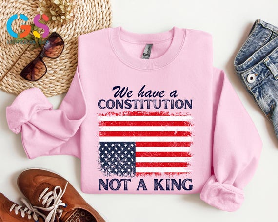 We Have A Constitution Not A King Sweatshirt, No Kings Protest Hoodie, Social Justice Democracy Clothes, Protest Gift