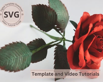Paper Flower Rose Leaves Template | Rose Leaves Digital | SVG | Video Tutorial | DIY Paper Craft | Cricut | 3D Paper Bouquet | Easy