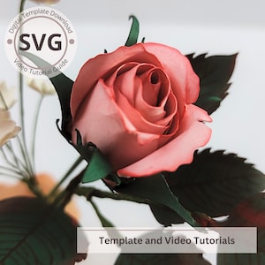 Modello di bocciolo di rosa con fiore di carta / Boccioli di rosa bicolore con foglie digitali / SVG / Tutorial video / Fai da te con carta / Cricut / Bouquet di carta 3D / Facile