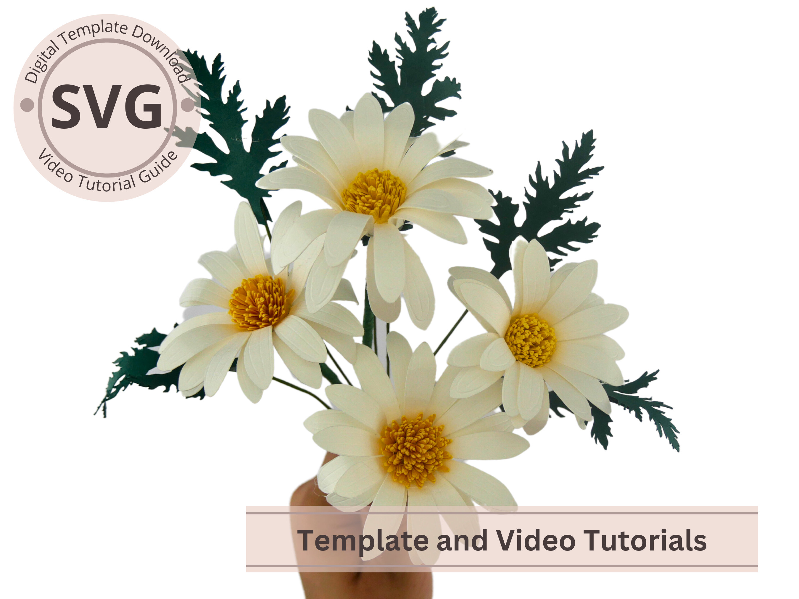 Paper Flower Template, Large Daisy Flower for Wall Décor Video Tutorial,  Re-sizable SVG, PNG & Studio3 Cut Files for Cricut and Silhouette 