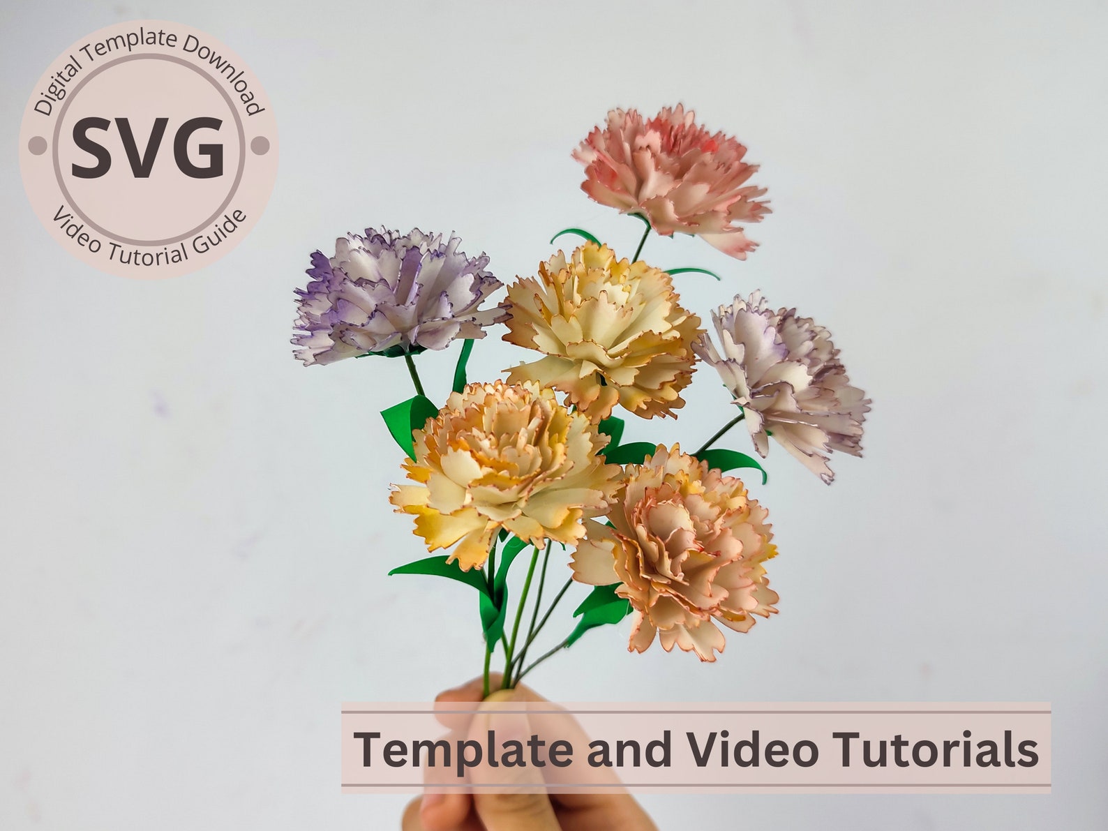 Paper Flower Carnation Template carnation & Leaves Digital SVG Video