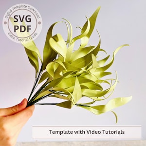Puede incluir: Un ramo de hojas de papel verde claro, sostenido por una mano, sobre un fondo blanco. Las hojas tienen un aspecto texturizado y están dispuestas en un ramo. El texto en la imagen incluye "SVG PDF Video Tutorial Guide" y "Template with Video Tutorials."
