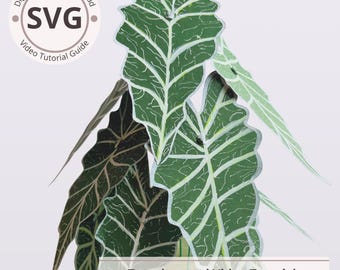Paper Plant Alocasia Frydek Template | Potted Elephant Ears Digital | SVG & PDF | Video Tutorial | DIY Papercraft | Home Decoration | Cricut