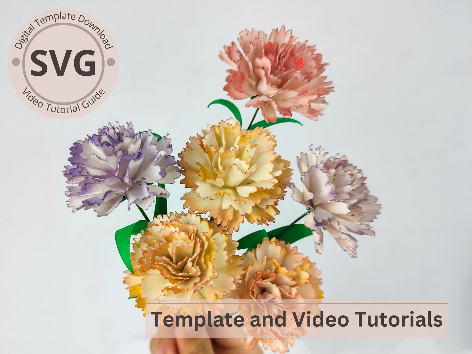 Paper Flower Carnation Template carnation & Leaves Digital SVG Video