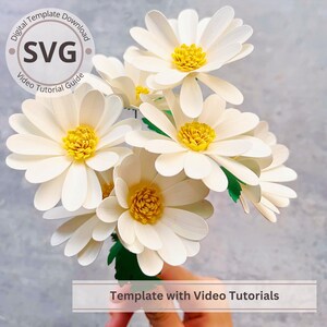 Puede incluir: Un ramo de margaritas de papel con pétalos blancos y centros amarillos. Las flores tienen tallos y hojas verdes. La imagen incluye el texto "Digital Template Download SVG Video Tutorial Guide" y "Template with Video Tutorials".