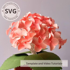 Ortensie con fiori di carta / Mazzo di ortensie digitale / SVG / Tutorial video / Carta fai da te / Cricut / Progetto bouquet 3D / Facile