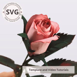 May include: A paper rose in shades of pink and red, with dark green leaves and stem. The image includes a circular graphic with the text "SVG" and "Digital Template Download Video Tutorial Guide". Below the rose is a banner with the text "Template and Video Tutorials".