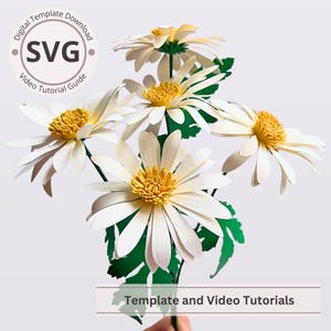 Paper Flower Daisy Template | Daisies Digital | SVG | Video Tutorial | DIY Papercraft Project | Cricut | 3D Bouquet