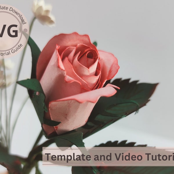 Paper Flower Rose Bud Template |2 Tone Rose Bud & Leaves Digital | SVG | Video Tutorial | DIY Paper Craft | Cricut | 3D Paper Bouquet | Easy