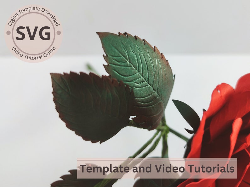 Paper Flower Rose Leaves Template Rose Leaves Digital SVG Video Paper Flower Rose Leaves Template Rose Leaves Digital SVG Video