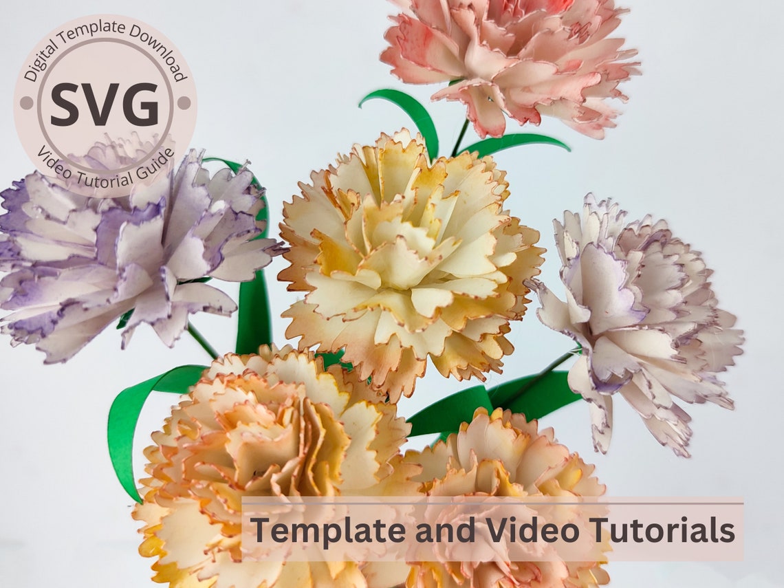 Paper Flower Carnation Template carnation & Leaves Digital SVG Video